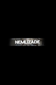 Nemlizade 5. Sezon afişi