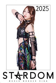 スターダム・ワールドのスターダム 15. Sezon afişi