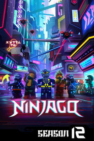 Ninjago: Spinjitzu'nun Ustaları 12. Sezon afişi