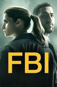 FBI 2. Sezon afişi