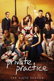Private Practice 6. Sezon afişi