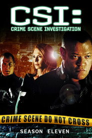 CSI: Crime Scene Investigation 11. Sezon afişi