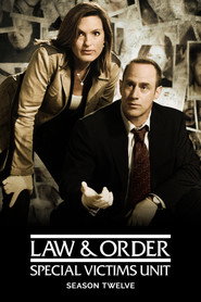 Law & Order: Special Victims Unit 12. Sezon afişi
