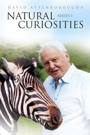 David Attenborough ile Sıradışı Canlılar 1. Sezon afişi