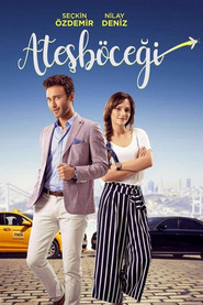 Ateşböceği 1. Sezon afişi