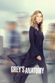 Grey's Anatomy 16. Sezon afişi