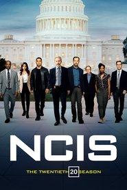 NCIS 20. Sezon afişi
