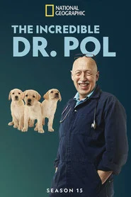 Yetenekli Doktor Pol 15. Sezon afişi