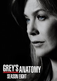 Grey's Anatomy 8. Sezon afişi
