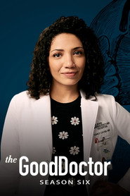 The Good Doctor 6. Sezon afişi