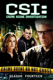 CSI: Crime Scene Investigation 14. Sezon afişi