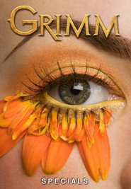 Grimm Özel Bölümler afişi