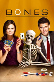 Bones 3. Sezon afişi