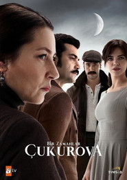 Bir Zamanlar Çukurova 1. Sezon afişi