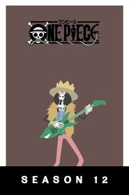 One Piece 12. Sezon afişi