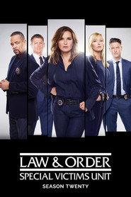 Law & Order: Special Victims Unit 20. Sezon afişi