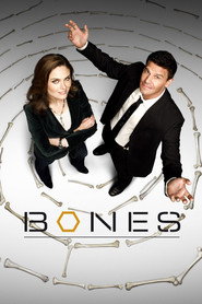 Bones 5. Sezon afişi