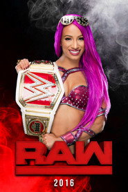 WWE Raw 24. Sezon afişi
