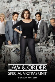 Law & Order: Special Victims Unit 15. Sezon afişi