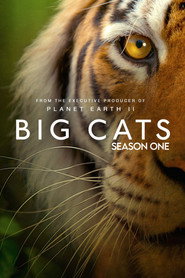 Big Cats 1. Sezon afişi