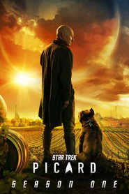 Star Trek: Picard 1. Sezon afişi