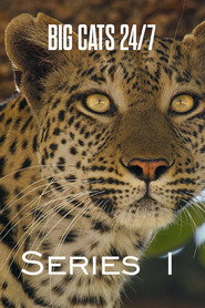 Big Cats 24/7 1. Sezon afişi