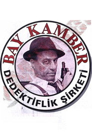 Bay Kamber 1. Sezon afişi