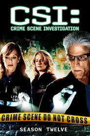 CSI: Crime Scene Investigation 12. Sezon afişi