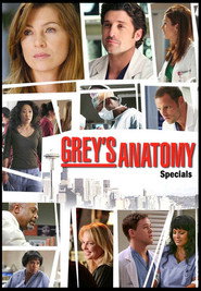 Grey's Anatomy Özel Bölümler afişi