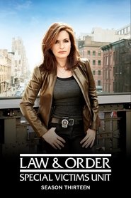 Law & Order: Special Victims Unit 13. Sezon afişi