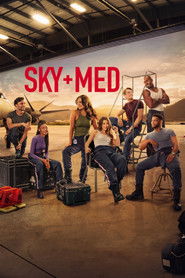 SkyMed 2. Sezon afişi