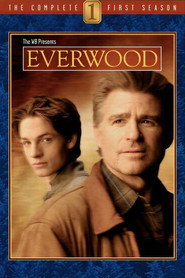 Everwood 1. Sezon afişi