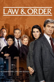 Law & Order 11. Sezon afişi