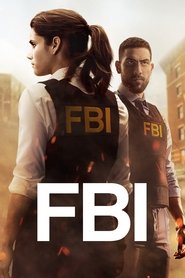 FBI 1. Sezon afişi