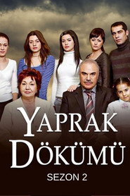 Yaprak Dökümü 2. Sezon afişi