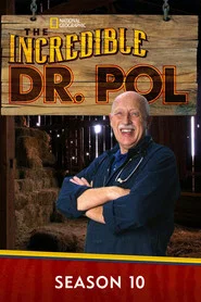 Yetenekli Doktor Pol 10. Sezon afişi