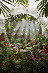 The Green Planet 1. Sezon afişi