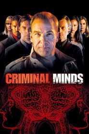 Criminal Minds 1. Sezon afişi