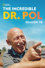Yetenekli Doktor Pol 18. Sezon afişi