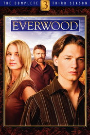 Everwood 3. Sezon afişi
