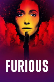 Furious 1. Sezon afişi
