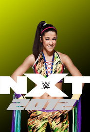 WWE NXT 6. Sezon afişi