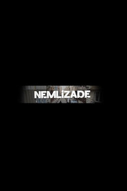 Nemlizade 3. Sezon afişi