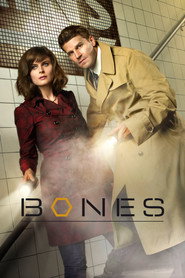 Bones 7. Sezon afişi