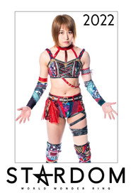 スターダム・ワールドのスターダム 12. Sezon afişi