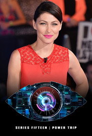 Big Brother 15. Sezon afişi