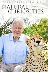 David Attenborough ile Sıradışı Canlılar 3. Sezon afişi