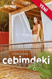 Cebimdeki Anahtar 1. Sezon afişi