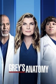 Grey's Anatomy 18. Sezon afişi