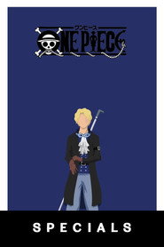 One Piece Özel Bölümler afişi